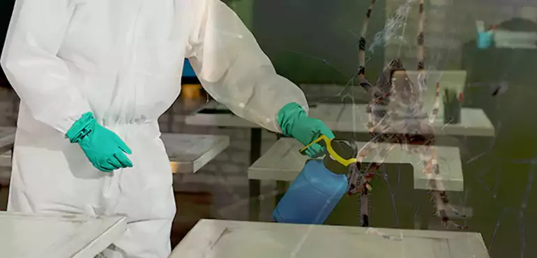 Why Buyers Still Want Homes With Pest Infestations in New Hampshire, NH?