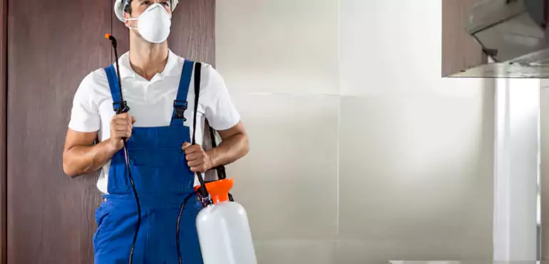 Why New Hampshire Homeowners Choose Us When Pests Make Selling Difficult