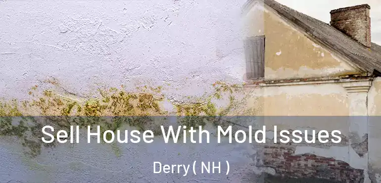  Sell House With Mold Issues Derry ( NH )