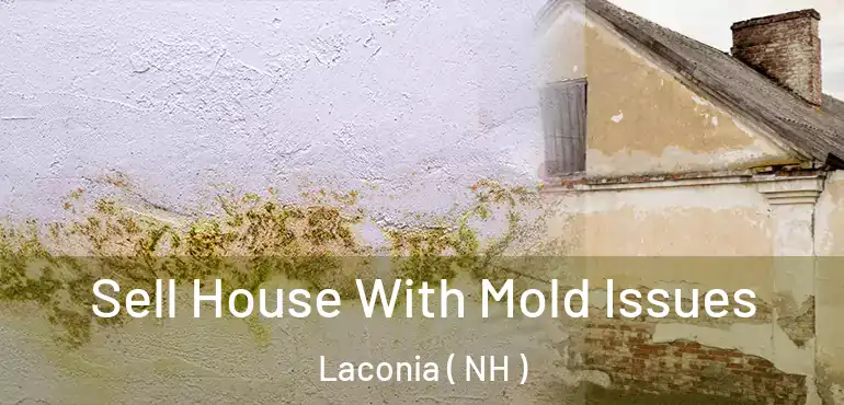 Sell House With Mold Issues Laconia ( NH )