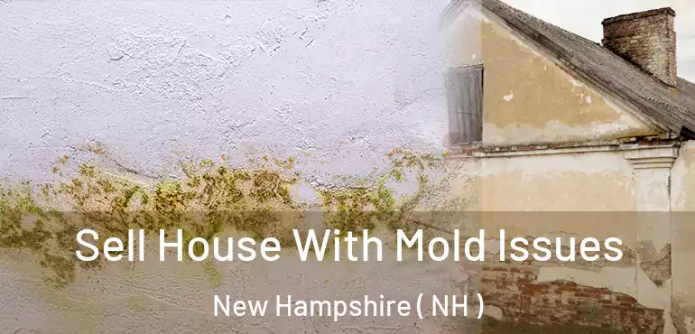  Sell House With Mold Issues New Hampshire ( NH )