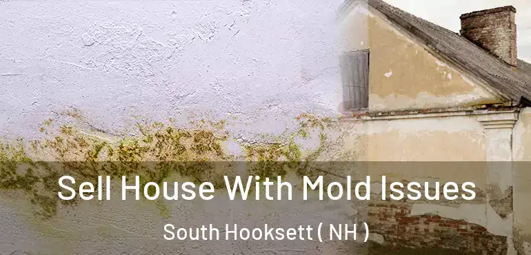 Sell House With Mold Issues South Hooksett ( NH )