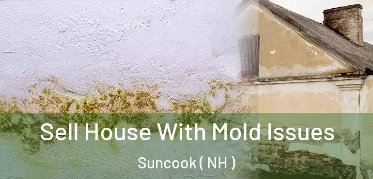 Sell House With Mold Issues Suncook ( NH )