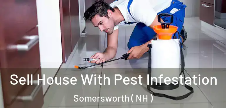  Sell House With Pest Infestation Somersworth ( NH )